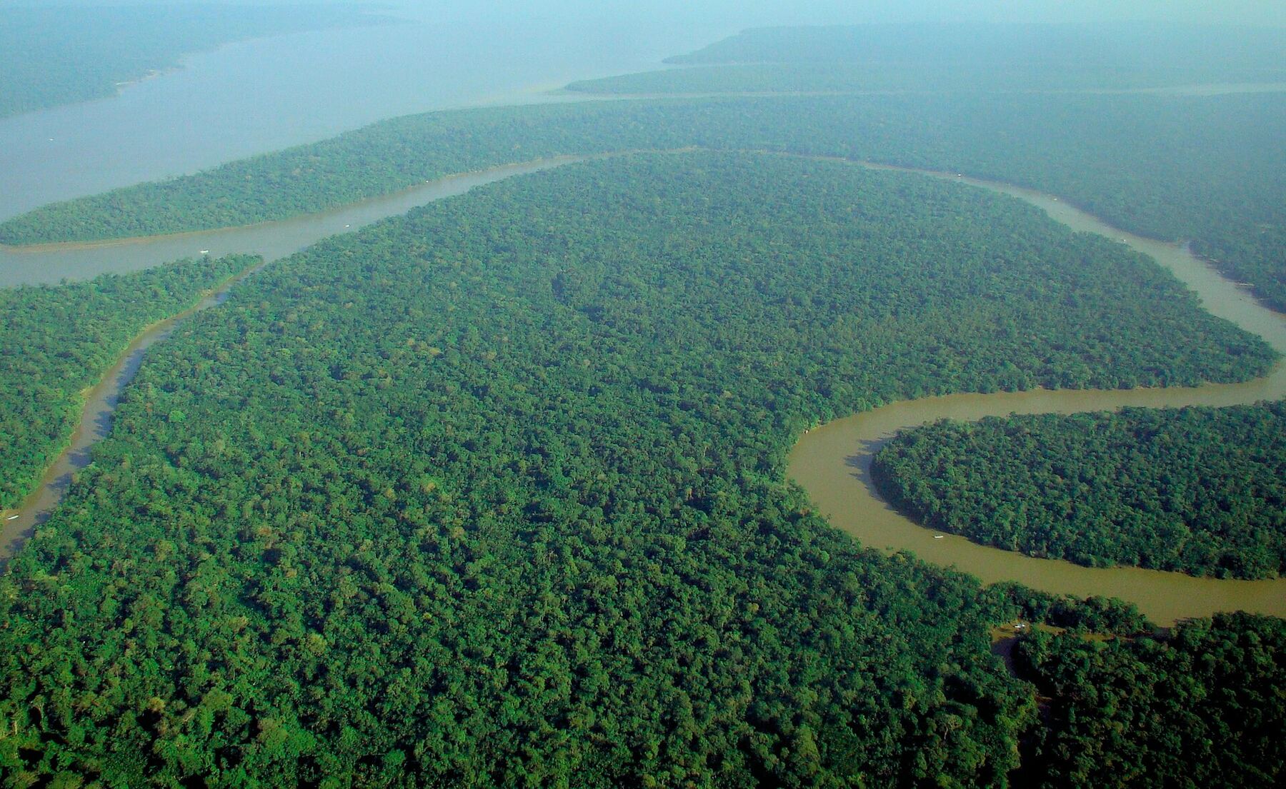 Aerial view of the Amazon rainforest with a winding river cutting through unbroken green canopy